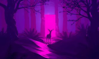 unknown-deer-in-the-light.jpg