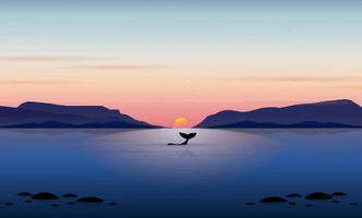 unknown-whale-tail-at-sunset.jpg